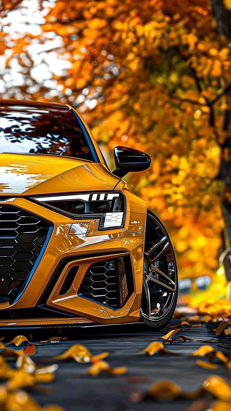 Lámina de Aluminio con diseño de Audi RS