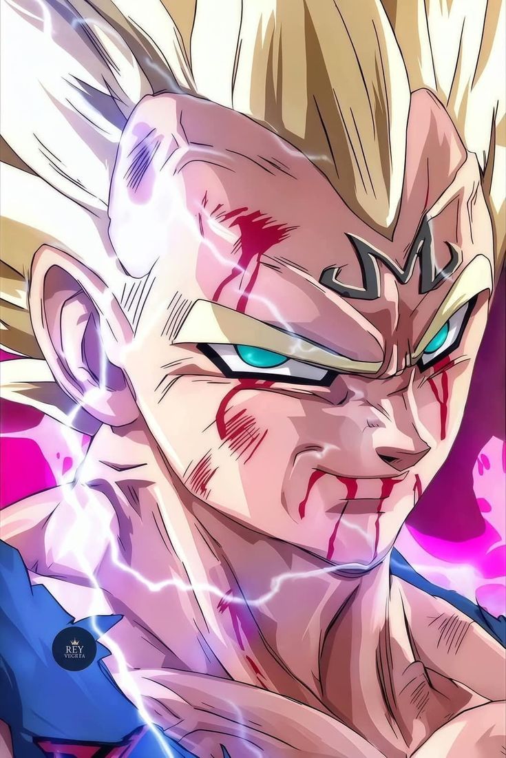 Lámina Dragon Ball - Vegeta Majin Desafiante