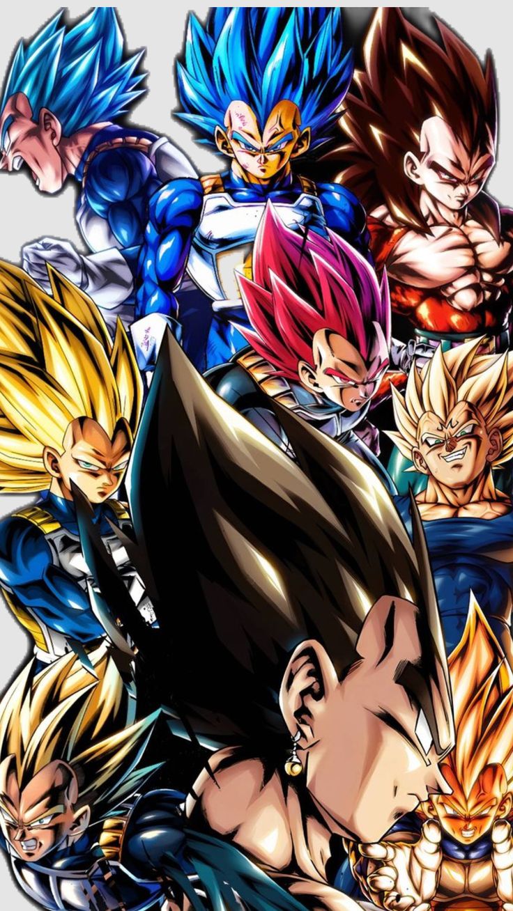 Lámina Dragon Ball - Todas las Transformaciones de Vegeta
